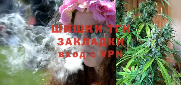 СК Няндома