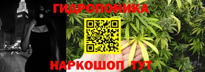 ALPHA PVP Аргун