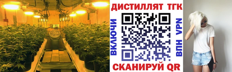 где купить   Архангельск  ТГК гашишное масло 