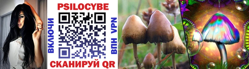 нарко площадка состав  Архангельск  Псилоцибиновые грибы MAGIC MUSHROOMS 
