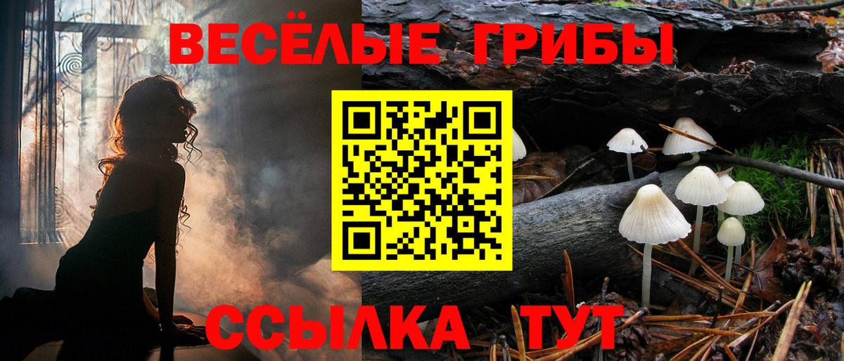 Галлюциногенные грибы Cubensis Архангельск